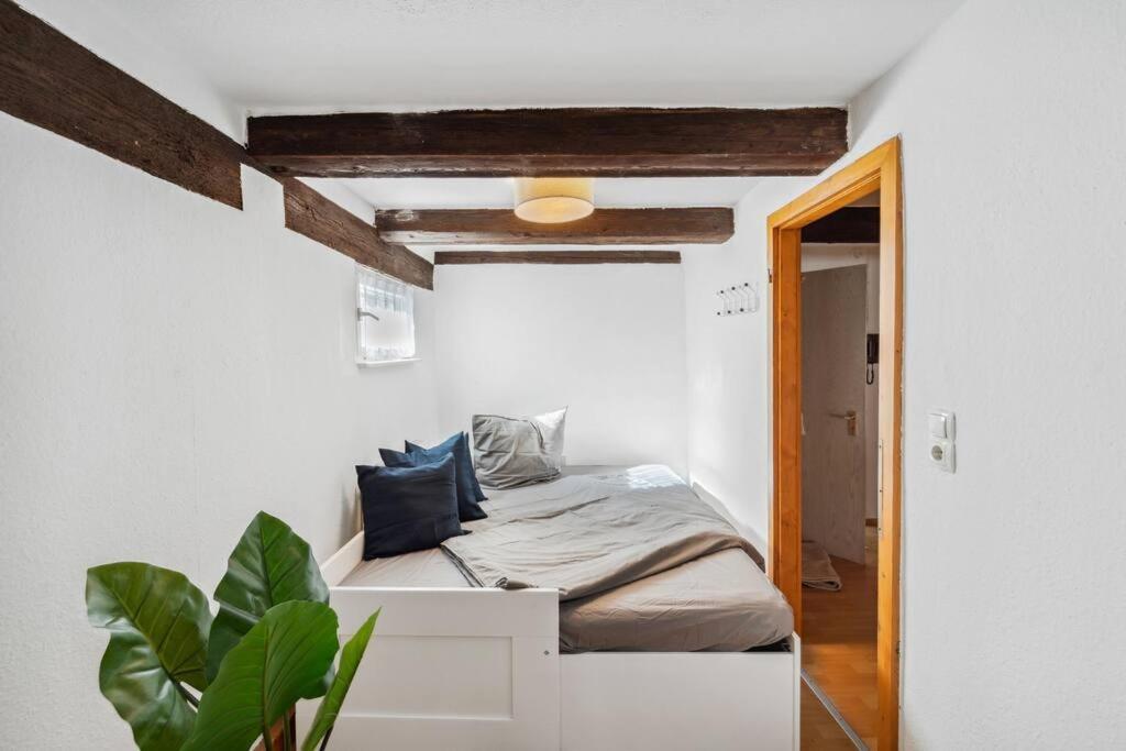Zentrales, Rustikales Apartment Лауф ан дер Пегниц Екстериор снимка